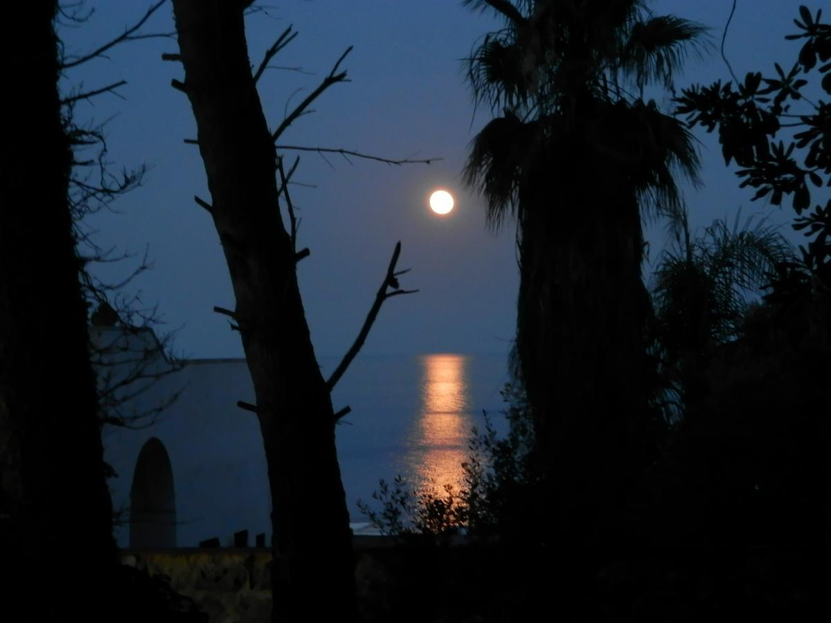 Agriturismo Salento D'Arare Марина Сера Екстериор снимка